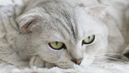 爱游戏登录入口-博卡中场传控缺乏前插配合，博卡中场传控缺乏前插配合怎么解决