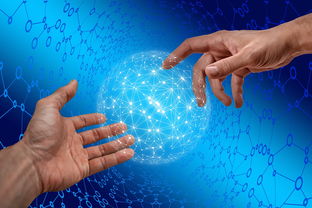 爱游戏体育在线赛事-德国仰泳项目技术稳定提升，德国仰泳项目技术稳定提升方案